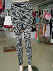 ZEBRA PANTY