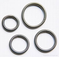 Oil Seal Spring