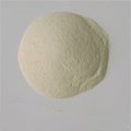  Wheat protein concentrate (feed grade)