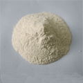  Rice Protein Concentrate (best quality) 1