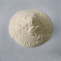  Rice Protein Concentrate (best quality)