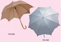 ladies umbrella 2
