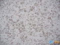 granite(white pearl)