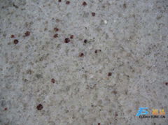 granite(kashmir white)