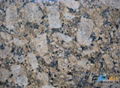 granite(giallo fiorito)