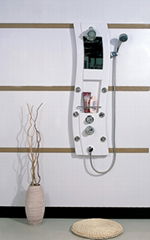 Shower Panel