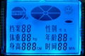 Graphic LCD Module (GVLCM725-11080)