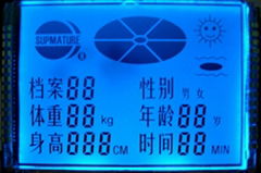 Graphic LCD Module (GVLCM725-11080)