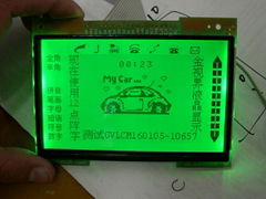 LCD Module-FSTN (GVLCM160105-10657)