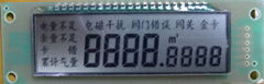 Graphic LCD Module-STN (GVLCM10925)