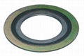 spiral wound gasket 1