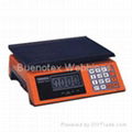 Electronic Weight Scales. 1