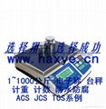ACS-Z电子计重秤系例 淮安