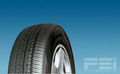 Passenger Car Radial Tire (FSI-PCR805)