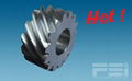 Stainless Steel Helical Gear