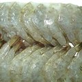 frozen white shrimp hoso 2