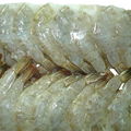 frozen white shrimp hlso