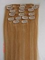 clip in/on hair extension 3