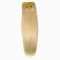 stw hair extension 1