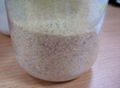 garlic granule  1