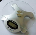 Electronic Kitchen Scale KN-22 1