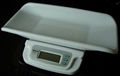 Electronic Baby Scale EBSA-20