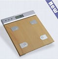 Multifunctional Fat Scale MF-1