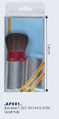 cosmetic brush