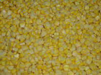 IQF sweet corn kernels