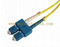 SC patch cord 1