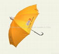 Baby Umbrella 2