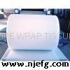 FIBERGLASS PIPE WRAPPING TISSUE