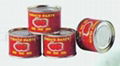 canned tomato paste 3