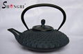 cast iron teapot