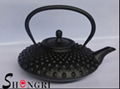 cast iron teapot 2