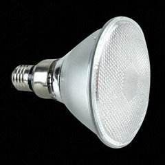 Par38 LED Bulb
