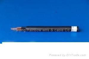 Control Cable with PVC Insulation and Sheath 