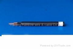 Control Cable with PVC Insulation and Sheath 