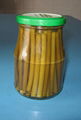 garlic sprout  in glass jar
