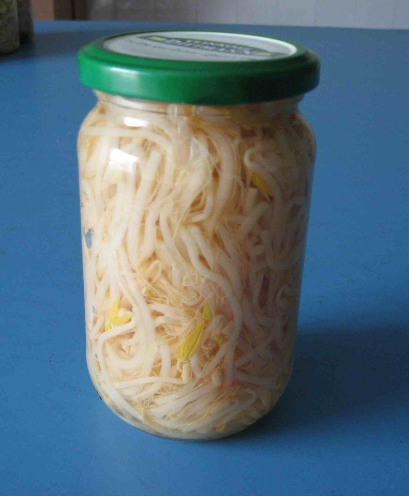 mungbean sprout in glass jar 