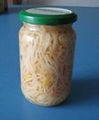 mungbean sprout in glass jar  1