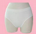 Sell-seamless underwear, ladies seamless brief 1