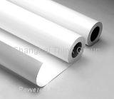 Cold Lamination Film