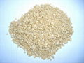 Textured soy protein