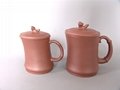 Yixing Zisha (Purple Sand) Teapots,Cups 1