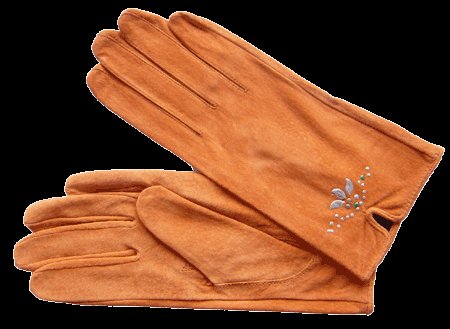 gloves for men and ladies