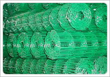 Welded wire mesh 2