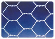 Hexagonal wire netting