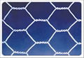 Hexagonal wire netting