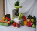 wheat grass juicer 1